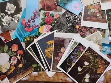 SOSPESO. Sarà disponibile prossimamente Chiedi