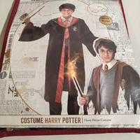 costume Harry Potter 