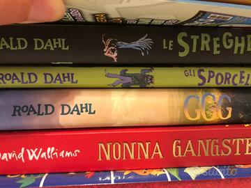 Grande Lotto libri per ragazzi