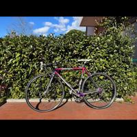 Bicicletta colnago decor