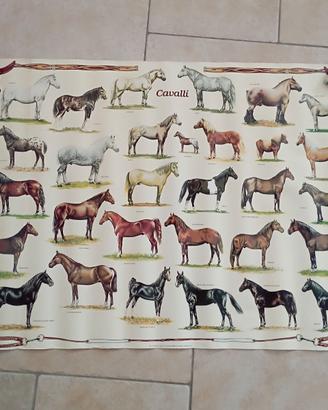 CAVALLI  poster 1982