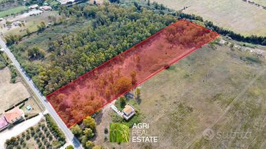 Terreno agricolo 2 ettari ca