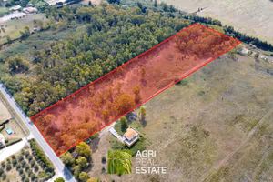 Terreno agricolo 2 ettari ca