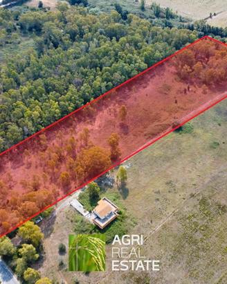 Terreno agricolo 2 ettari ca
