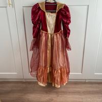 Vestito carnevale principessa