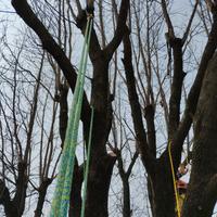 Giardiniere - arboricoltore