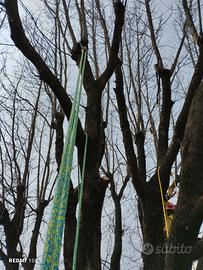Giardiniere - arboricoltore