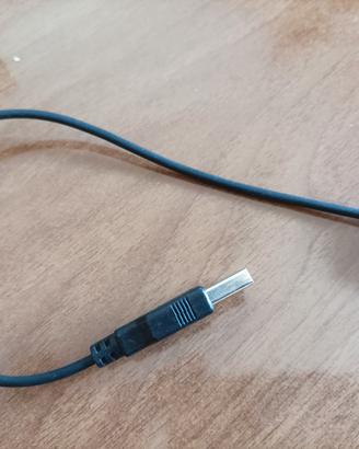 Cavo di ricarica smartwatch