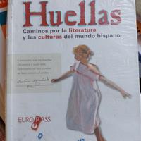 libro di testo letteratura spagnola