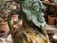 Immagine 1
