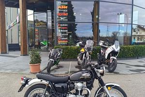 Kawasaki W 800 Golden Black / Ebony