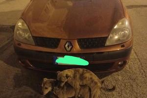 clio dell 2004