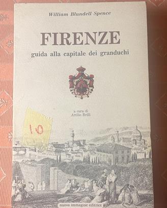 Firenze Guida alla capitale dei granduchi