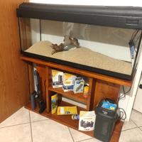 Acquario completo 120 litri Vicenza