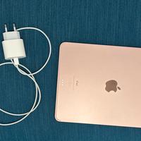 iPad Air Rosa (4a generazione) Wi-Fi + Cellular.