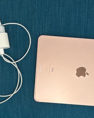 iPad Air Rosa (4a generazione) Wi-Fi + Cellular.