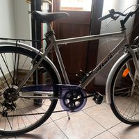 Bicicletta da uomo