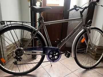Bicicletta da uomo