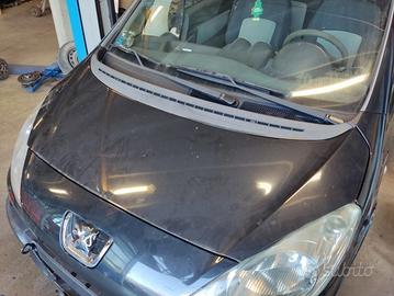 Cofano PEUGEOT 1007 del 2006