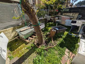 Appartamento di 45 m² con 2 locali a Pesaro