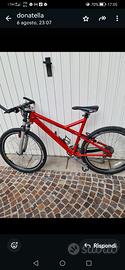 mtb PORSCHE BIKE S