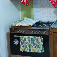 macchina del gas forno nn ventilato 