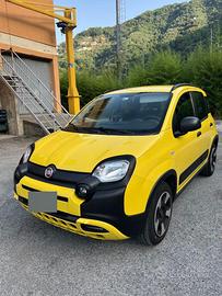 Panda Hybrid