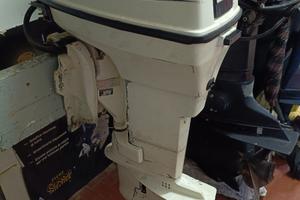 Johnson 40 HP con trim elettrico