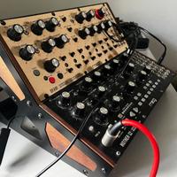 Semimodulari moog