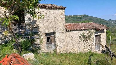 CASA INDIPENDENTE A ALATRI