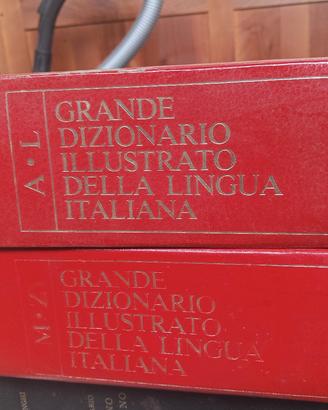 Grande dizionario illustrato della lingua italiana