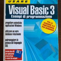 Visual Basic 3 Esempi di programmazione