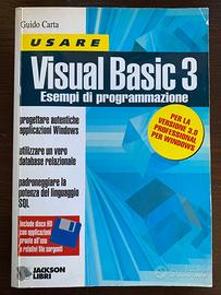 Visual Basic 3 Esempi di programmazione