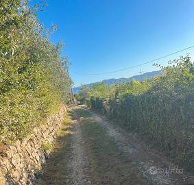 TERRENO DI 3000mq -