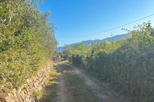 TERRENO DI 3000mq -