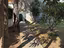 Immagine 16