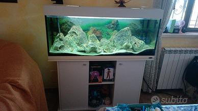 acquario Ferplast Dubai  120 cm