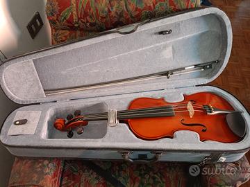 Viola