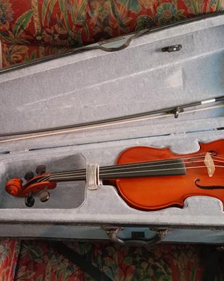 Viola