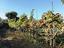 Immagine 26