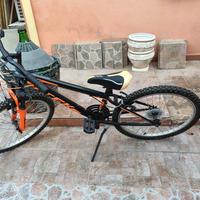 bicicletta Mountain Bike 
