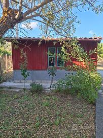 Terreno 3200 mq Castellana Sicula rione Frazzucchi