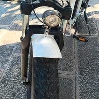 bici elettrica 