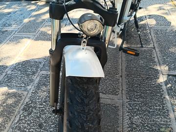 bici elettrica 