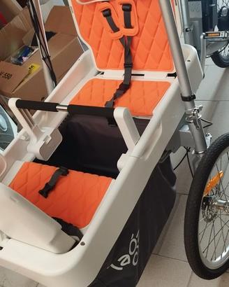 Bici elettrica cargo