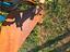 Immagine 19
