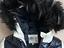 Immagine 3