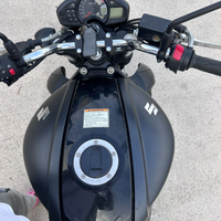 Suzuki Gladius 650