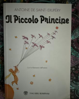 Il piccolo principe
