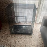 gabbia uccelli grande